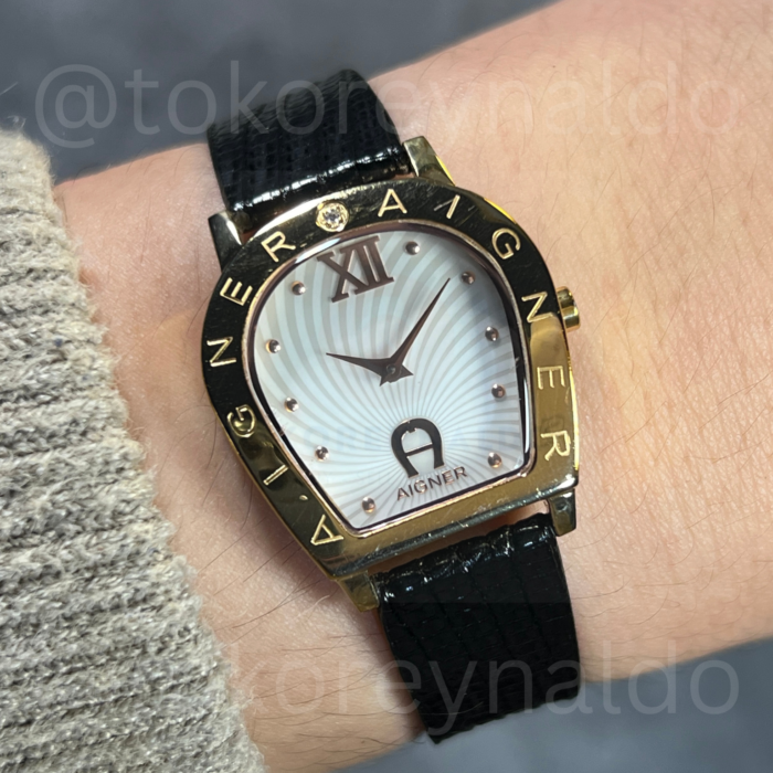 JAM TANGAN AIGNER AMALFI A32200 HORSESHOE ROSE GOLD TONE SWIRL DIAL (LX2455)