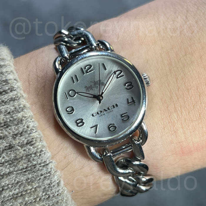 JAM TANGAN COACH DELANCEY CA.97.7.14.1030 CHAIN BRACELET ROUND SILVER DIAL ARABIC NUMERALS (LX2546)
